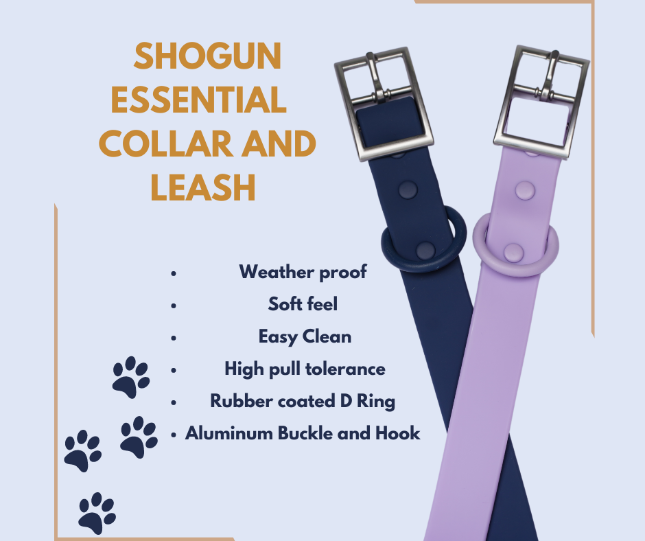 Shogundog Essential Collar